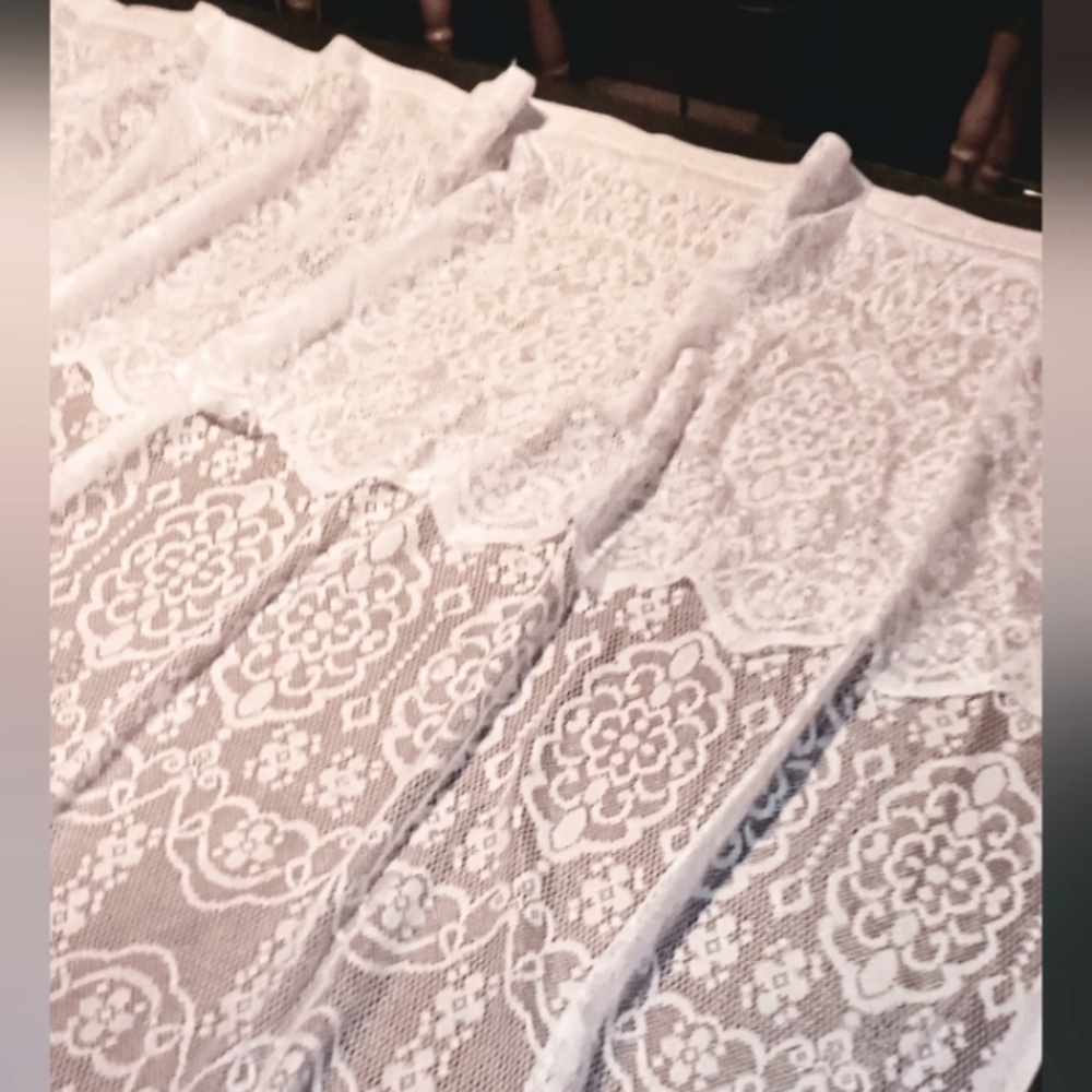 Gorgeous Lace Curtain Panel